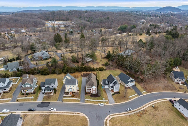 birds eye view of property featuring a mountain view