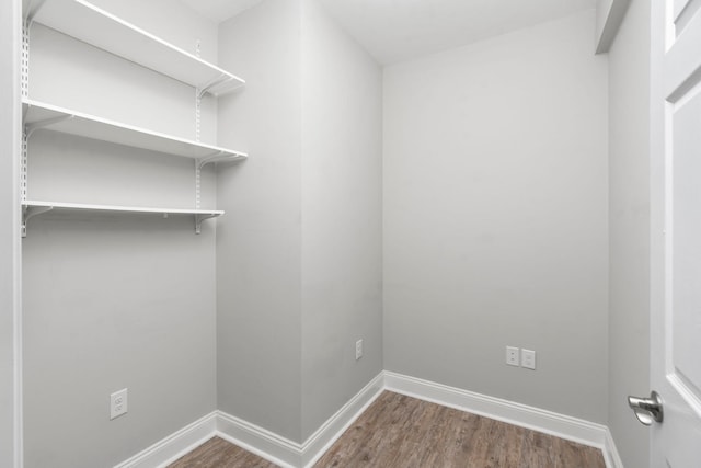 spacious closet featuring wood-type flooring