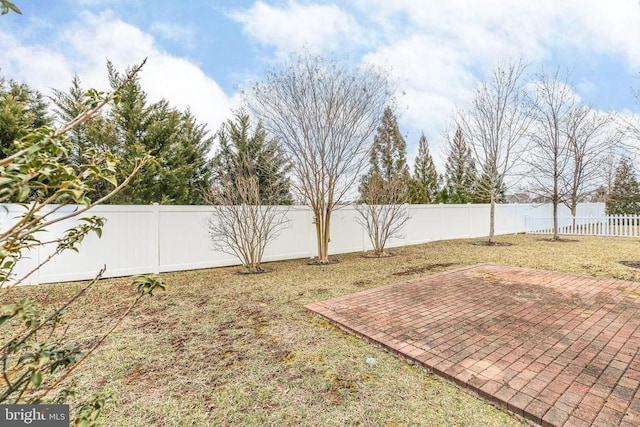 view of yard with a patio area and a fenced backyard