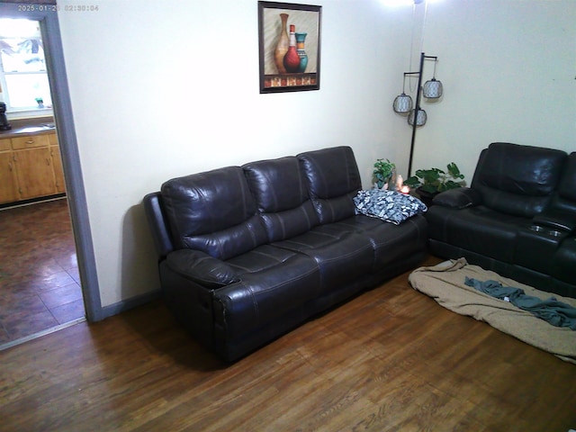 living room with dark hardwood / wood-style floors