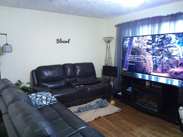 living room featuring hardwood / wood-style floors and a textured ceiling