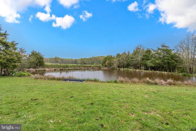 property view of water featuring a view of trees