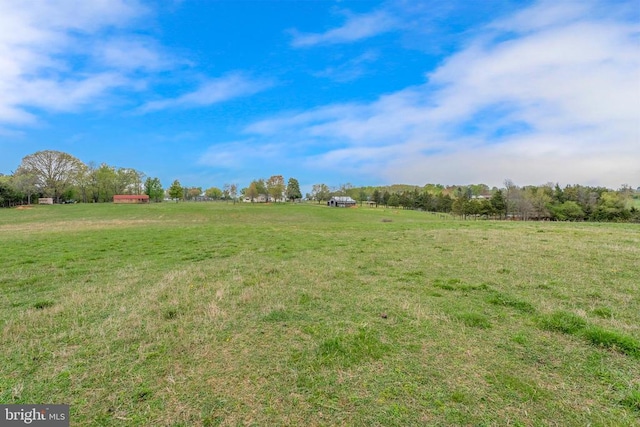 view of yard featuring a rural view