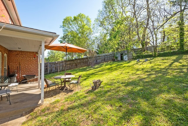 view of yard with a patio and a fenced backyard