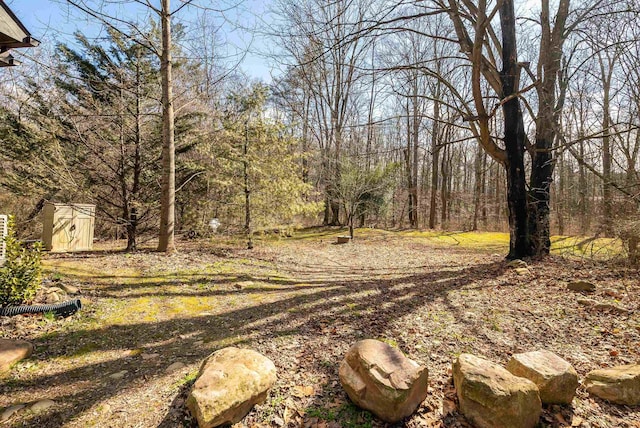 view of yard featuring a storage shed