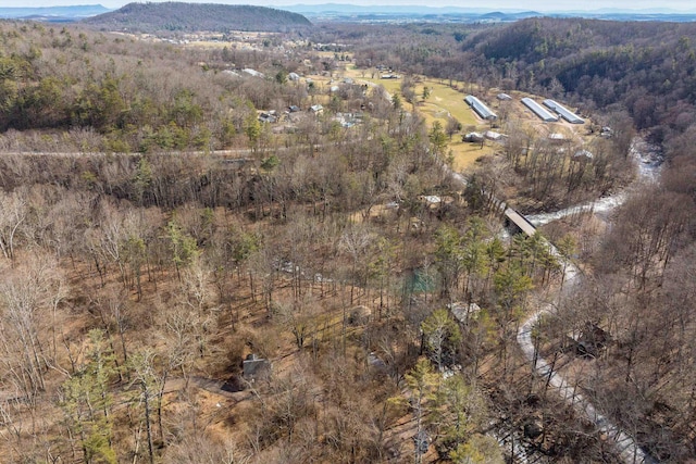 drone / aerial view with a mountain view