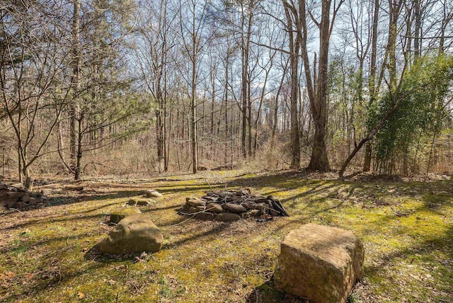 view of yard with a fire pit