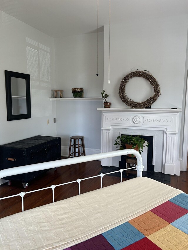 interior space featuring a fireplace with flush hearth and wood finished floors