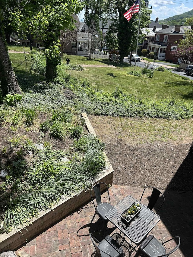 view of yard featuring a patio