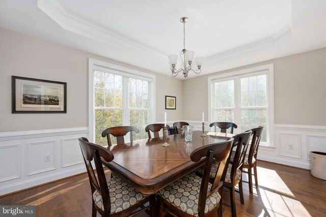 dining space with dark hardwood / wood-style floors, a healthy amount of sunlight, and a tray ceiling