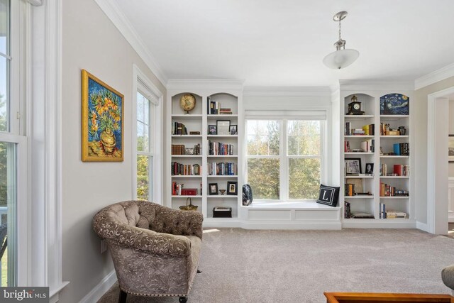 sitting room with ornamental molding, carpet floors, and built in features