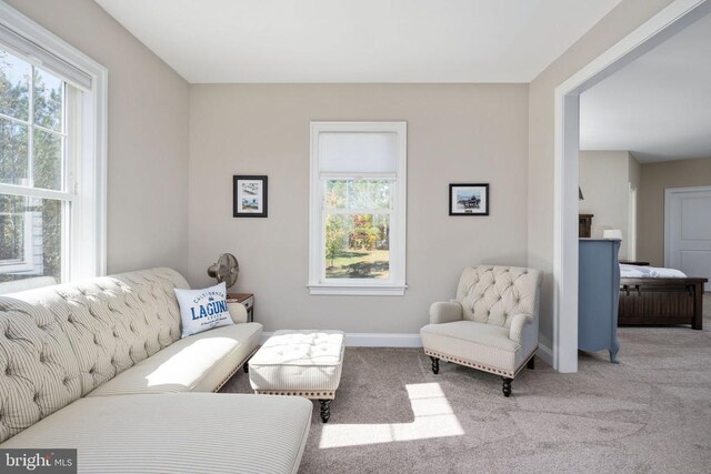 view of carpeted living room