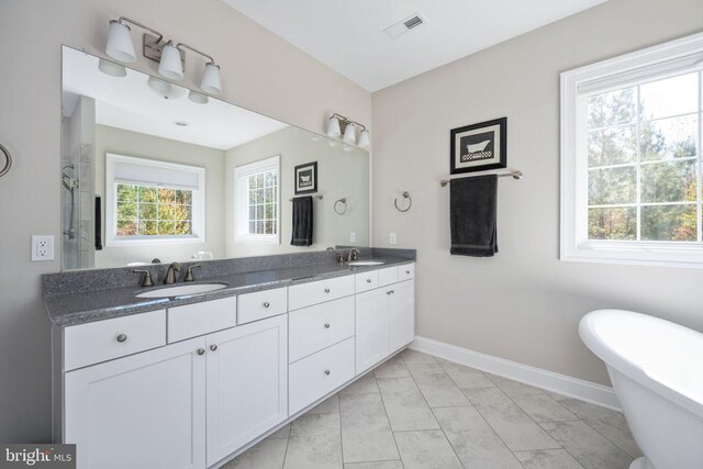 bathroom featuring vanity and a bathtub