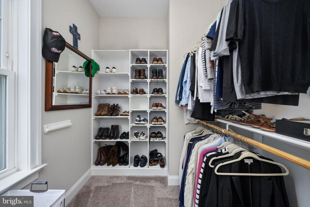 spacious closet featuring carpet floors