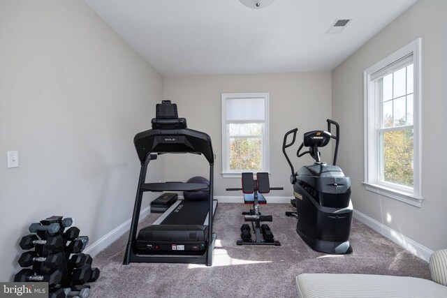 exercise room with carpet and a wealth of natural light