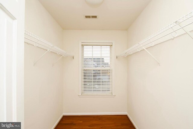 walk in closet with dark hardwood / wood-style flooring