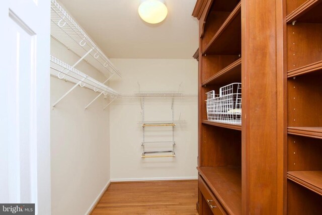 walk in closet with light hardwood / wood-style flooring