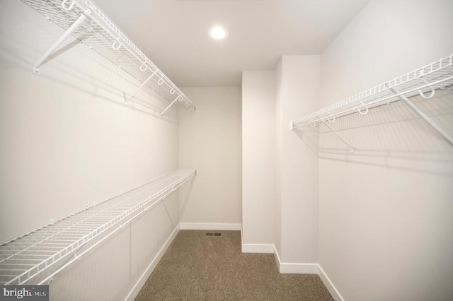 walk in closet with carpet flooring