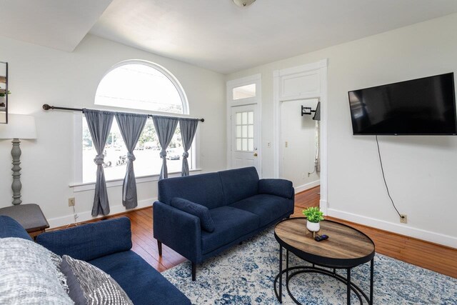 living room featuring hardwood / wood-style floors