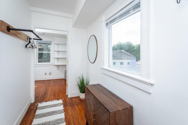 hallway featuring crown molding and dark wood-type flooring