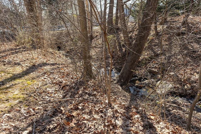 view of local wilderness featuring a view of trees