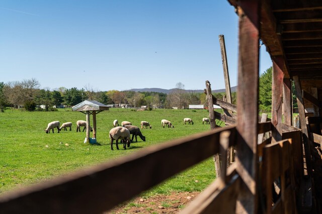 view of yard with a rural view