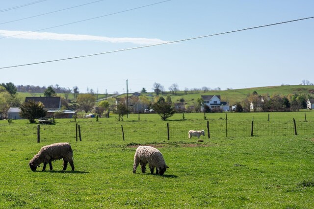 view of property's community featuring a yard and a rural view