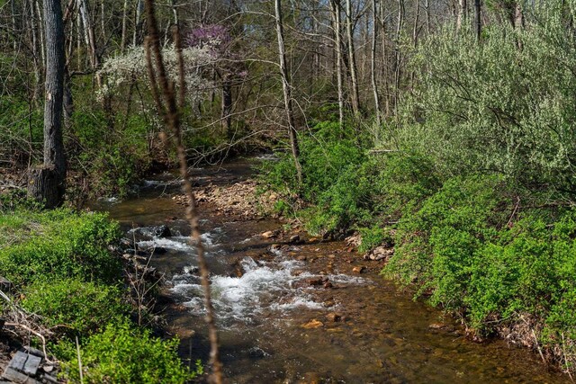 view of local wilderness