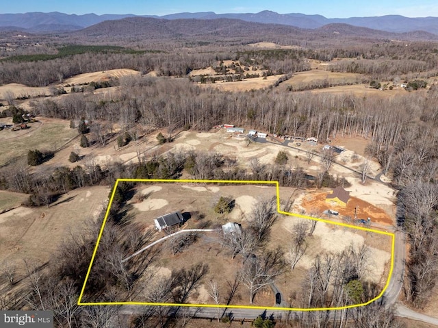 birds eye view of property featuring a mountain view