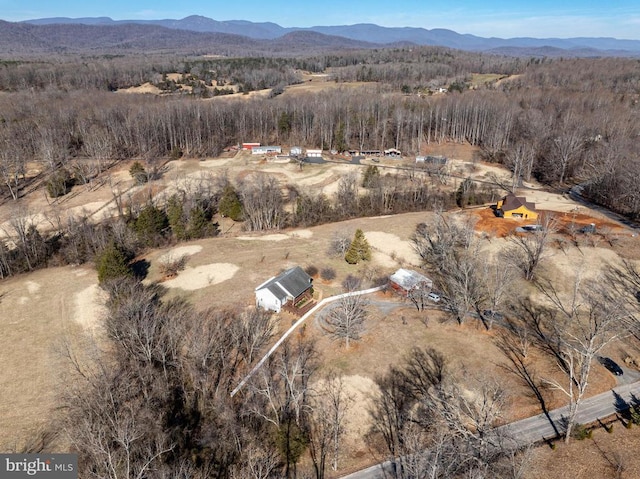 birds eye view of property featuring a mountain view