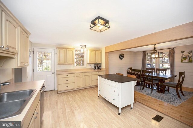 kitchen with light wood finished floors, dishwasher, decorative light fixtures, wood walls, and a sink