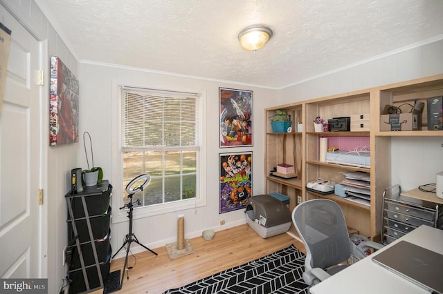 office area featuring hardwood / wood-style floors, ornamental molding, and a textured ceiling