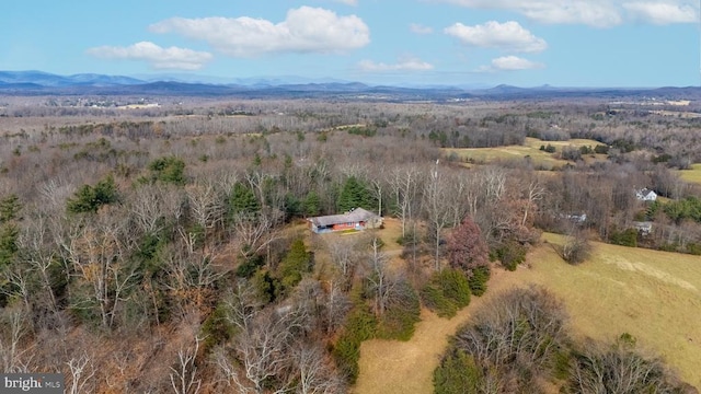 aerial view with a mountain view