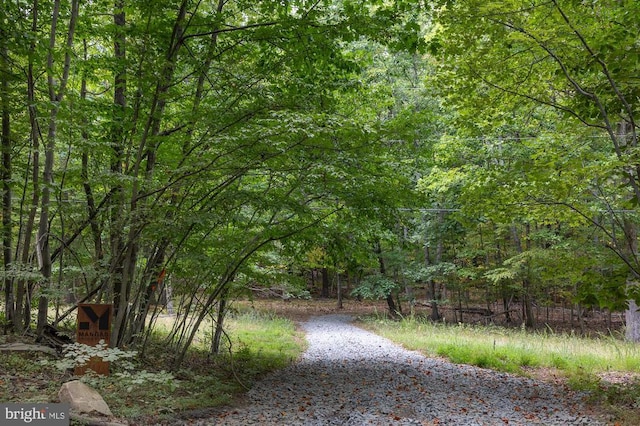 Bull Run Mountain Rd, The Plains VA land for sale