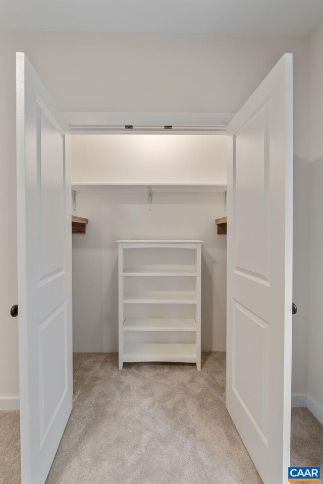 spacious closet featuring light carpet