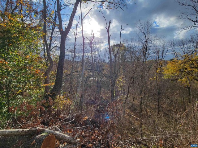 view of local wilderness