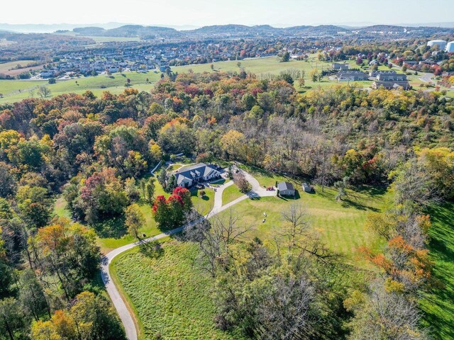 aerial view with a mountain view