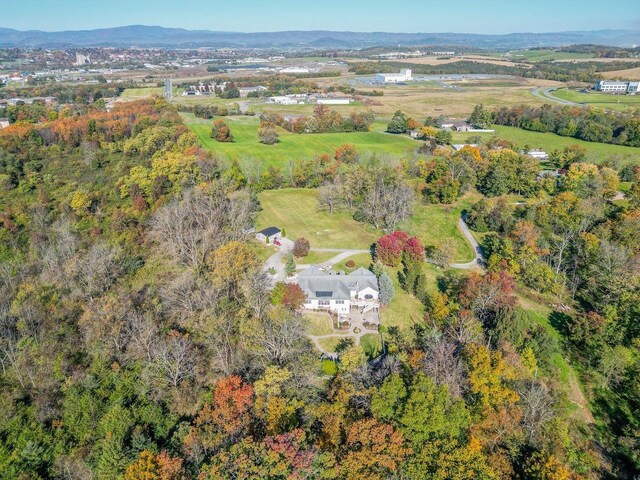 birds eye view of property featuring a mountain view