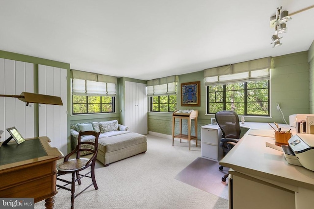 view of carpeted office
