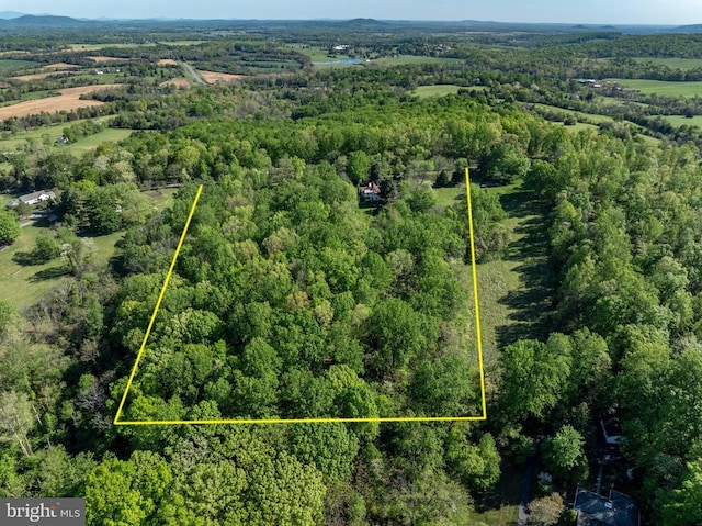 birds eye view of property with a view of trees