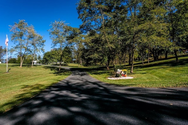 view of home's community featuring a lawn