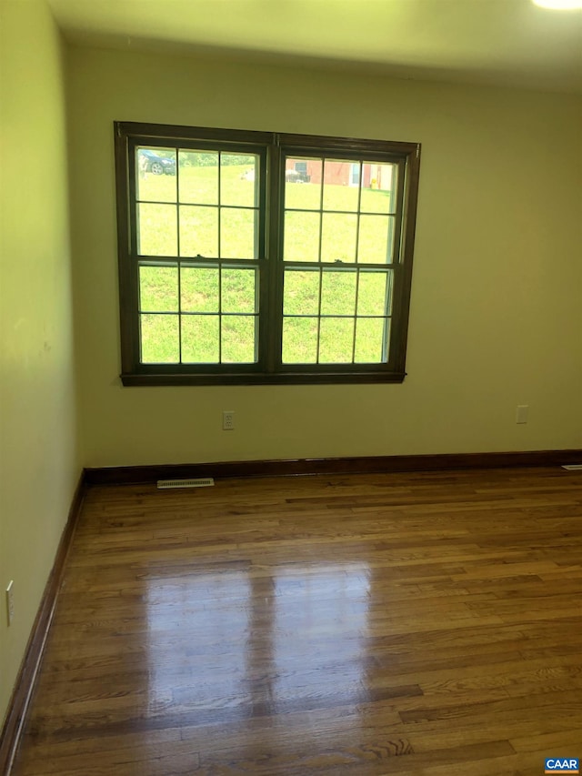 empty room featuring dark wood-type flooring and a wealth of natural light