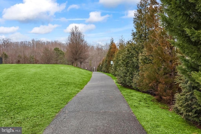 surrounding community featuring a forest view and a yard