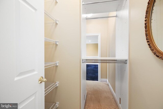 view of walk in closet