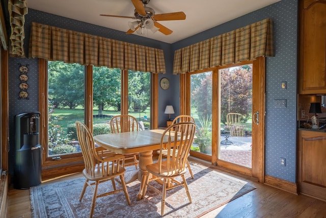 dining room featuring hardwood / wood-style flooring and ceiling fan