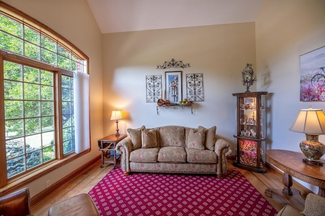 living room with wood-type flooring and vaulted ceiling