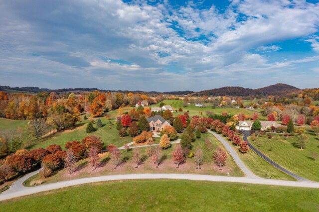 drone / aerial view featuring a mountain view