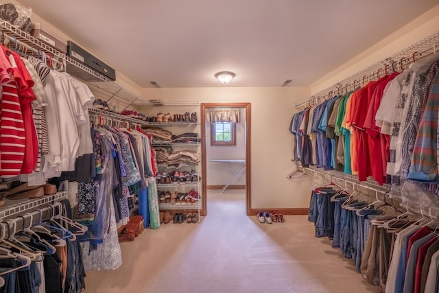 spacious closet featuring carpet