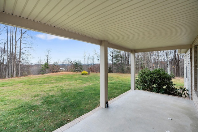 view of yard featuring a patio area