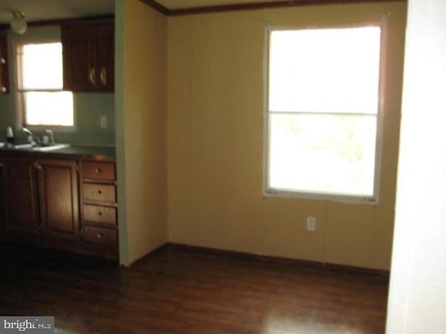 kitchen featuring dark countertops, dark wood-type flooring, plenty of natural light, and a sink